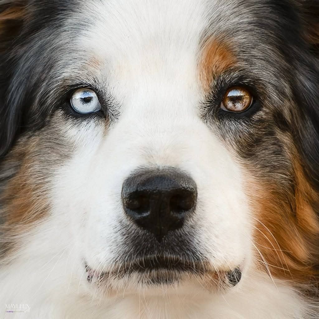 Joy of living De La Bastide Des Combettes